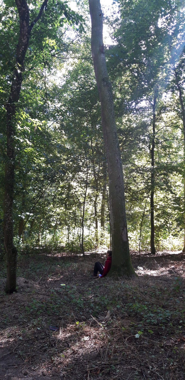 Photo illustrative d'un participant appuyé contre un arbre