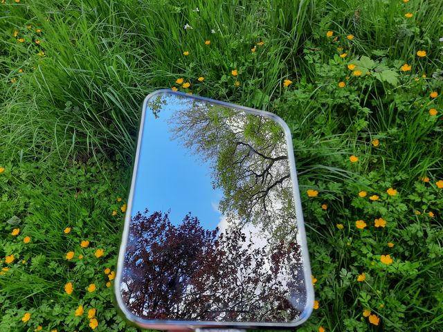 Photo illustrative, reflets de la nature dans un miroir
