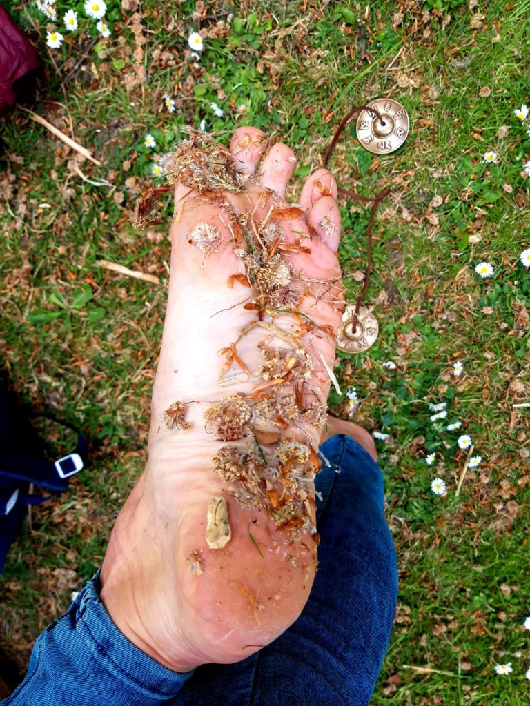 Eléments de la nature collés sur pied après marche pieds nus